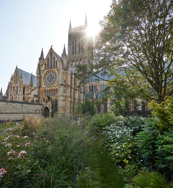 Lincoln cathedral trees This landscape photograph captures Lincoln Cathedral in Lincoln, England, United Kingdom during a late summer morning, as indicated by the bright sunlight streaming over the cathedral’s towers. The image prominently features the cathedral’s Gothic architecture with its detailed façade, rose window, and soaring spires. Surrounding the historic church, mature trees and lush summer vegetation create a vibrant garden foreground, highlighting the contrast between nature and the enduring architecture of this landmark structure. Lincoln Cathedral is well known as one of England’s most remarkable medieval churches, and its towering presence dominates the scene against the clear morning sky.